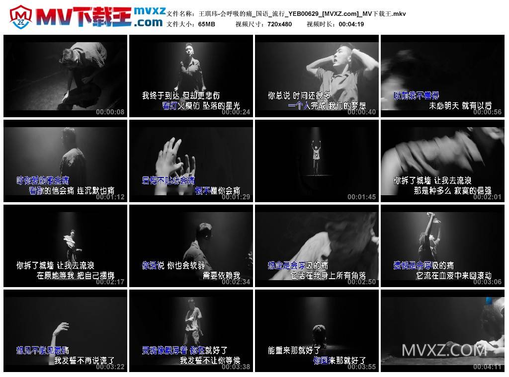 王琪玮-会呼吸的痛_国语_流行_YEB00629